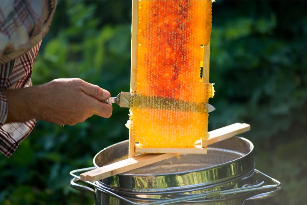 How to Extract Honey Without an Extractor: 4 Simple Methods That Actually Work